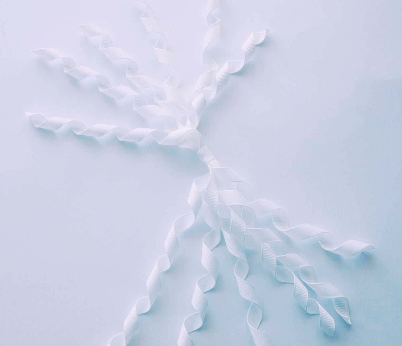 Korker White-Mad About Bows
